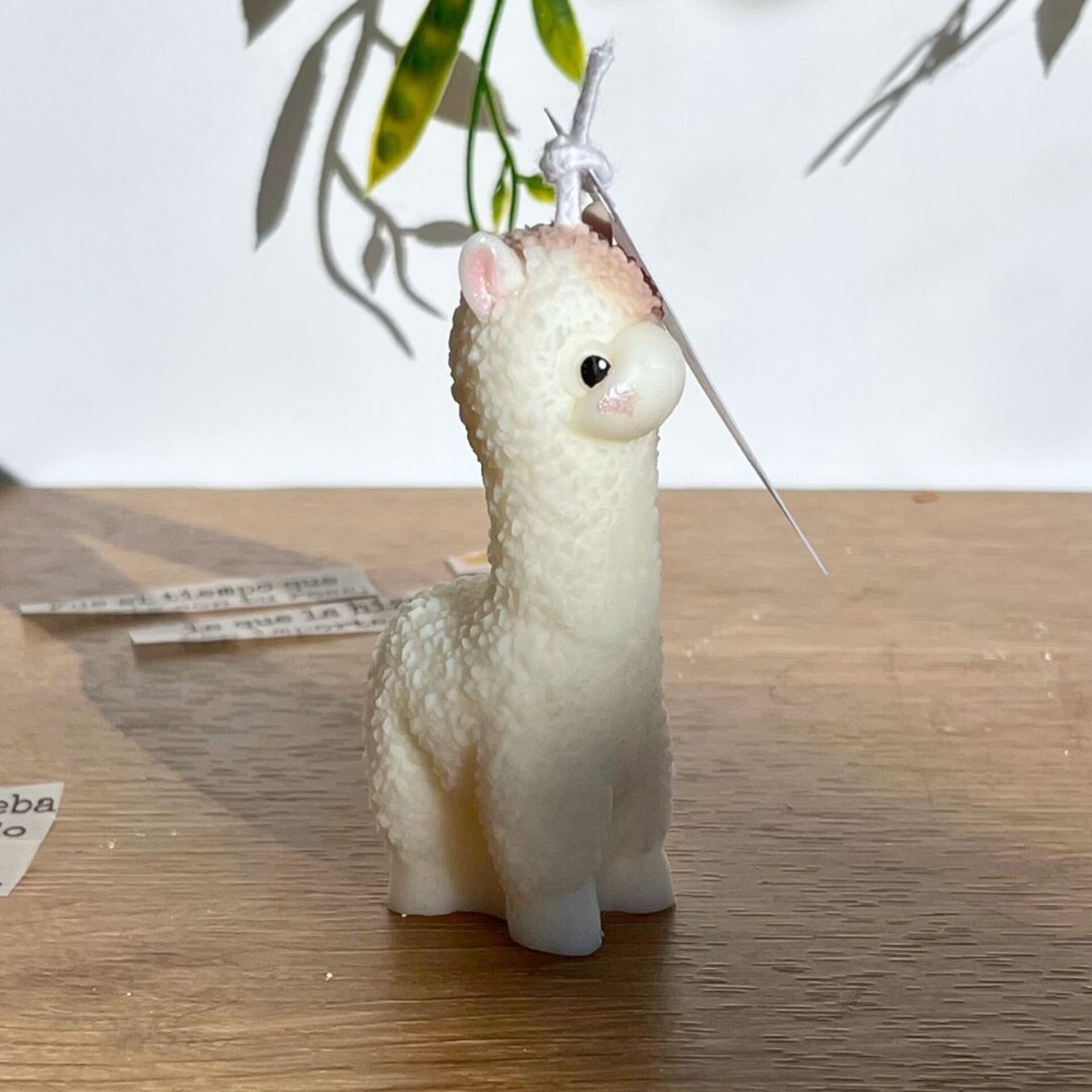 Pack hechizo · Rollitos de canela - Frambuesa, caramelo y vainilla - 2