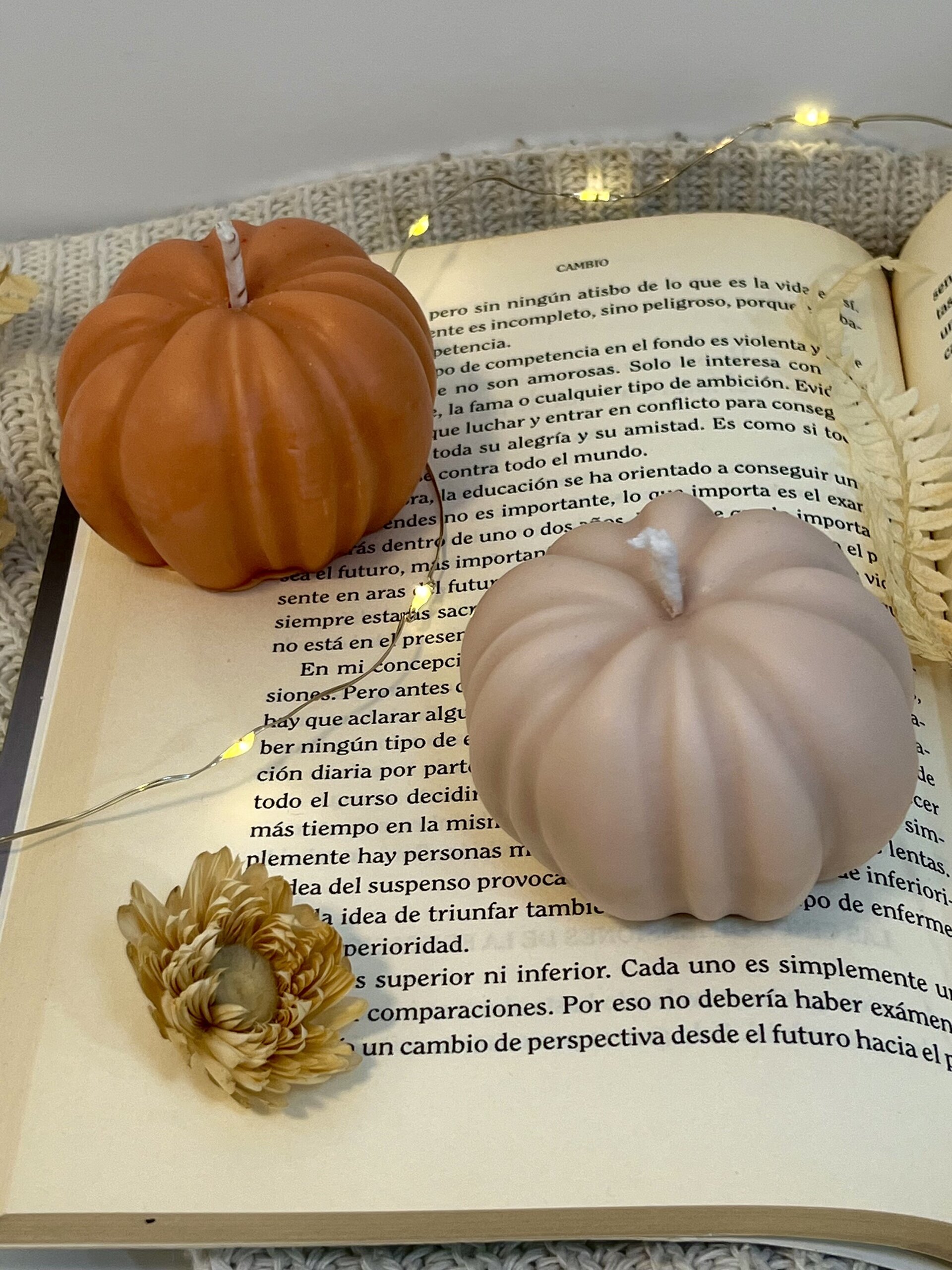 Pumpkin glow - 3