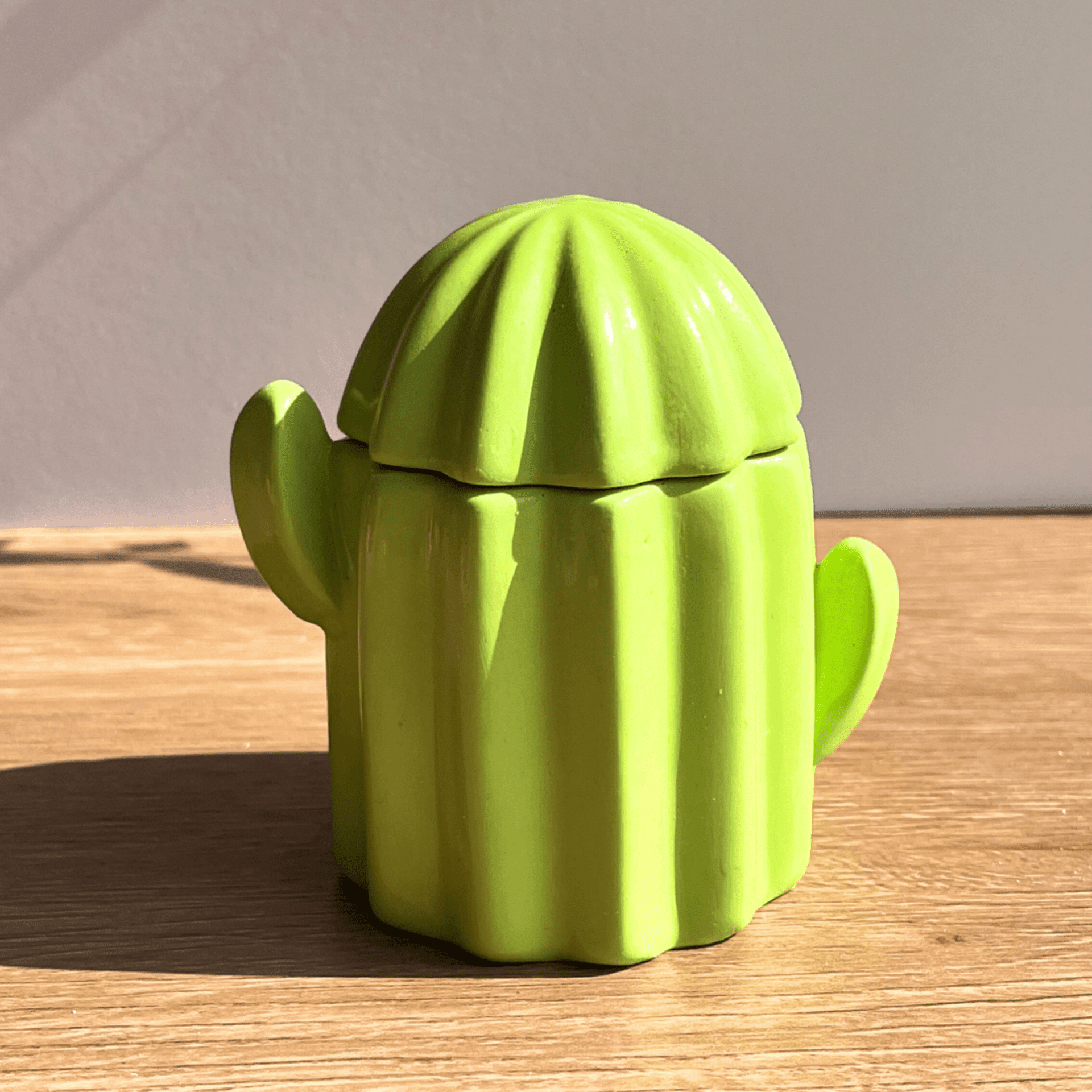 Tuna 🌵 - Albahaca y menta - 2