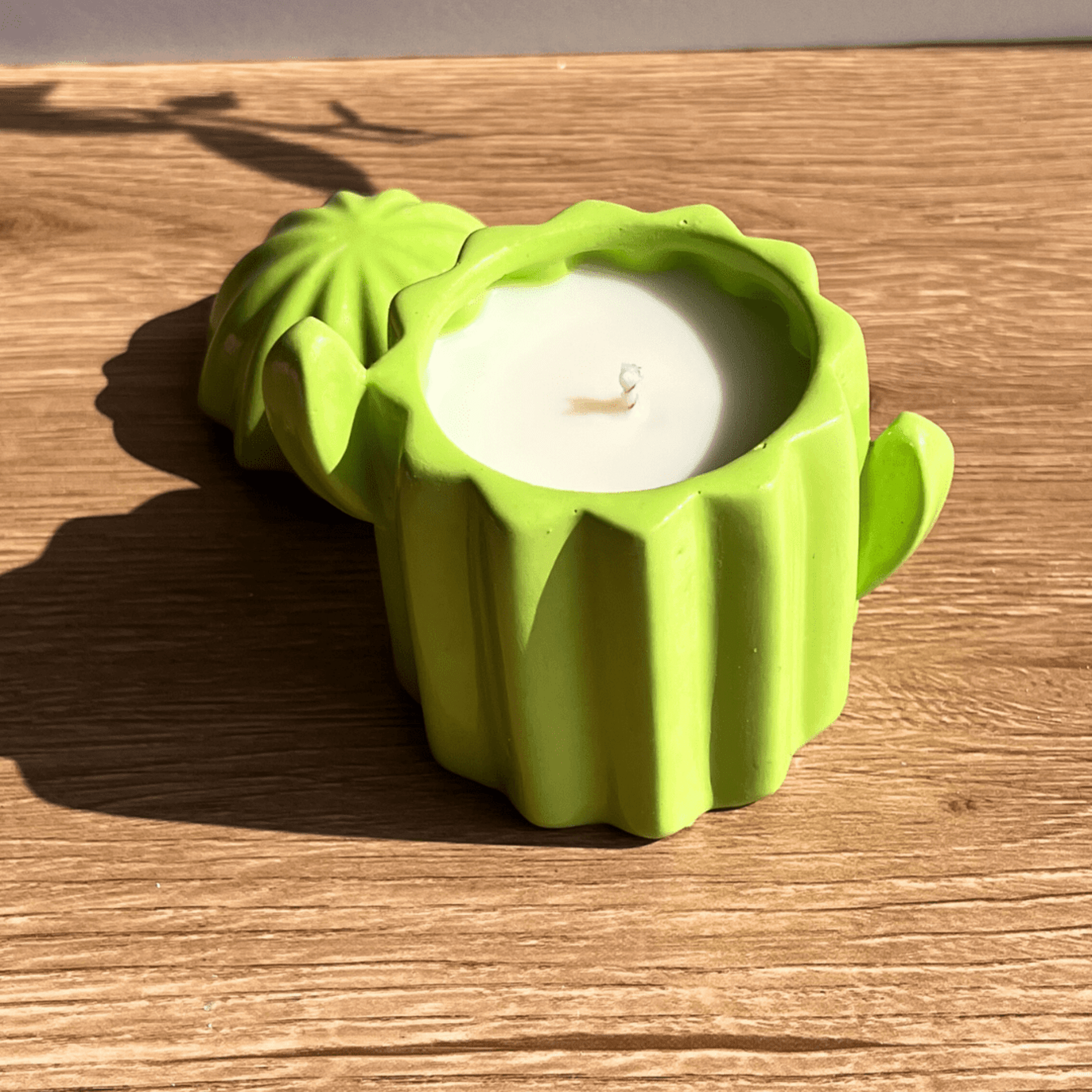 Tuna 🌵 - Albahaca y menta - 3