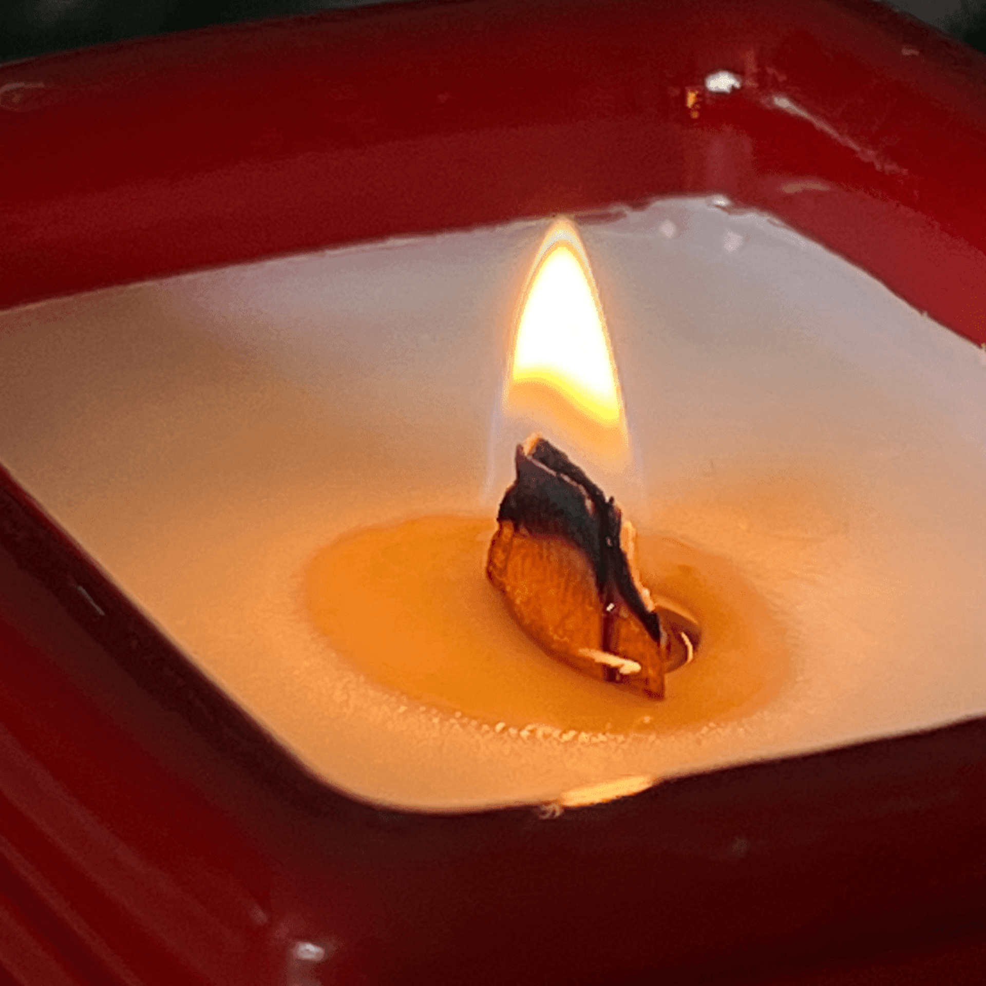 Vamos por el arbol - Incienso y frambuesa-vainilla - 3