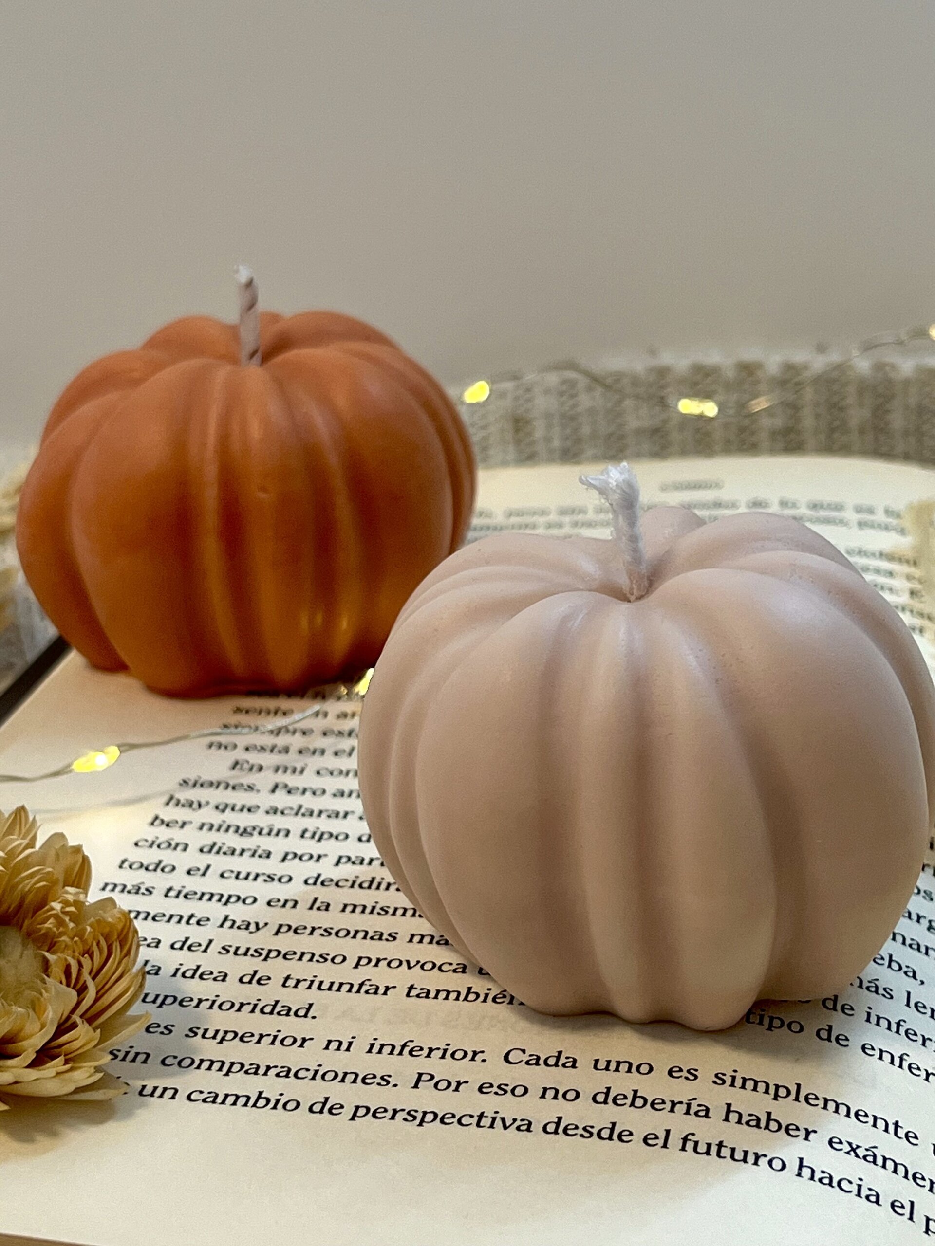 Pumpkin glow - 1