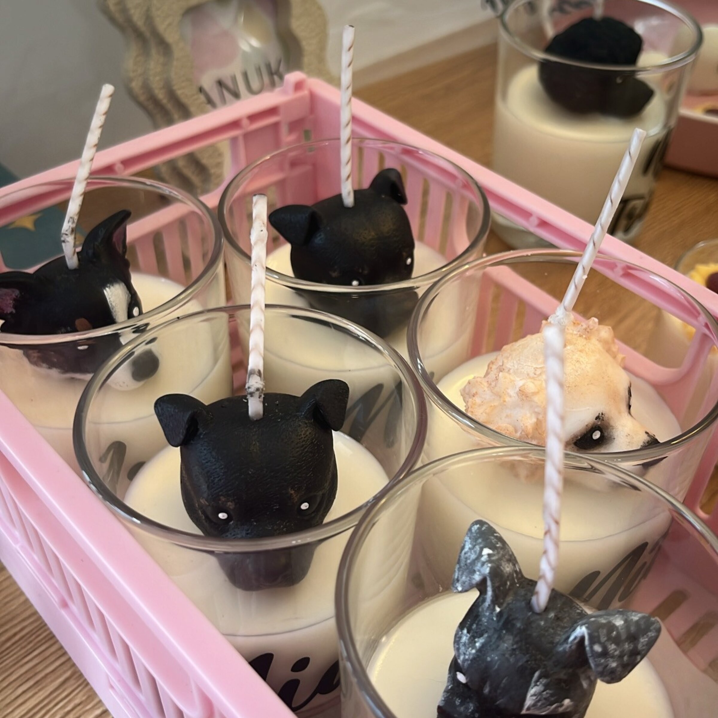 Mascotas personalizadas 🐾