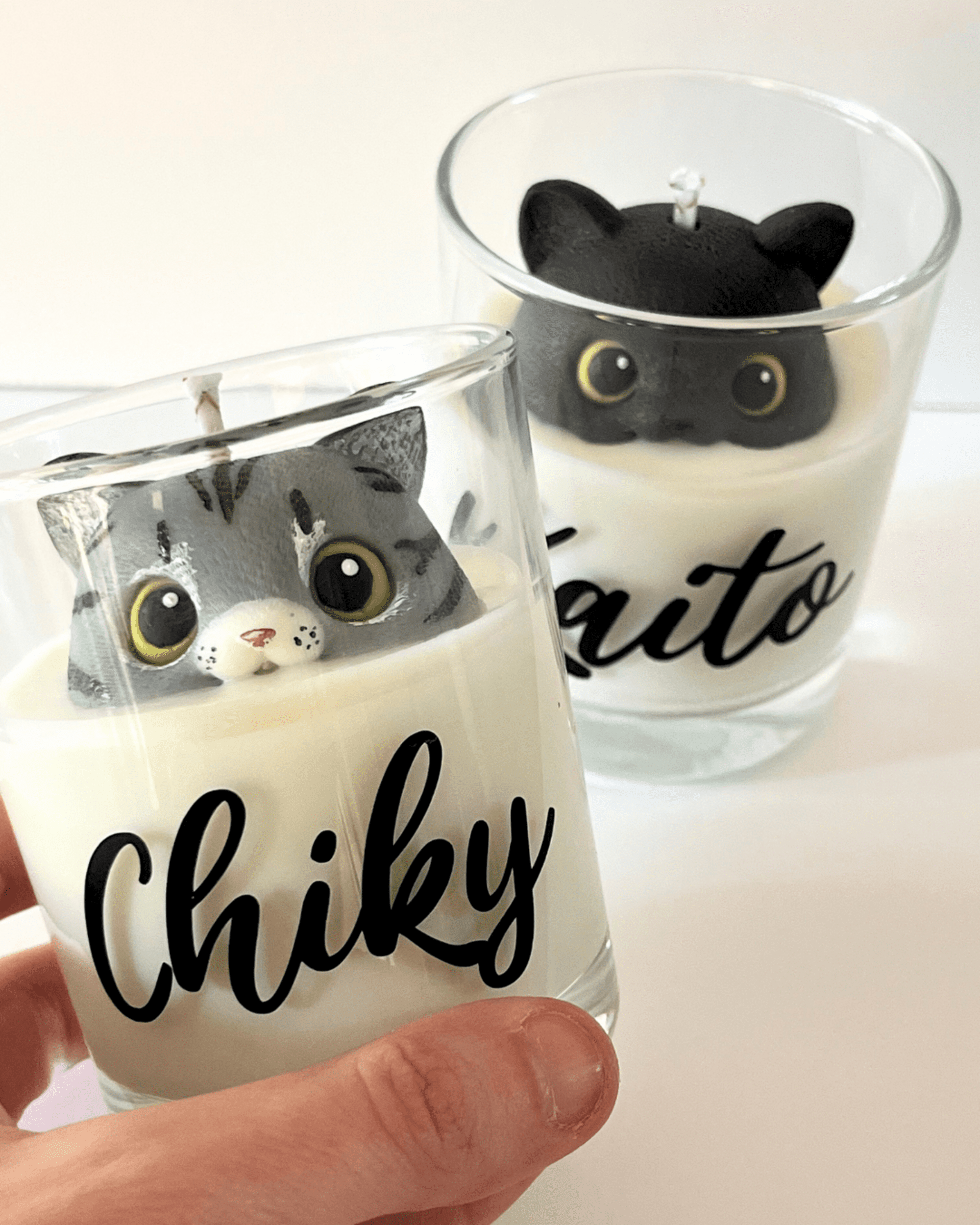 Michivela 🐱 - 2